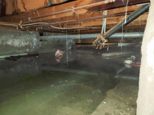 Best Residential water damage restoration  in Clifton Knolls Mill Creek, NY