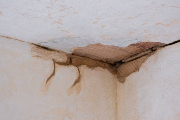 Best Local water damage restoration  in Clifton Knolls Mill Creek, NY