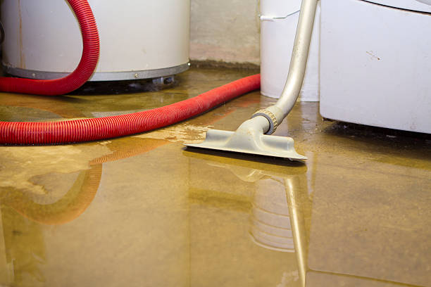 Best Commercial water damage restoration  in Clifton Knolls Mill Creek, NY
