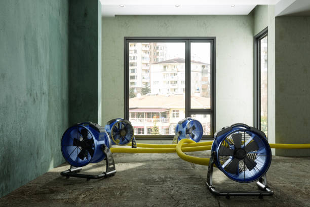 Best Water damage restoration near me  in Clifton Knolls Mill Creek, NY